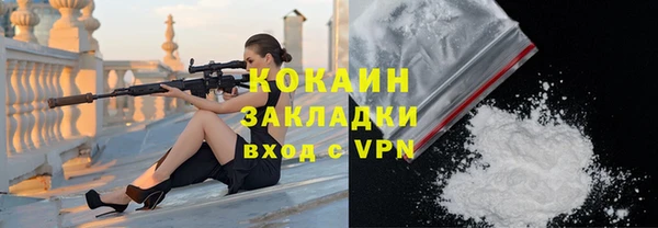 2c-b Ельня