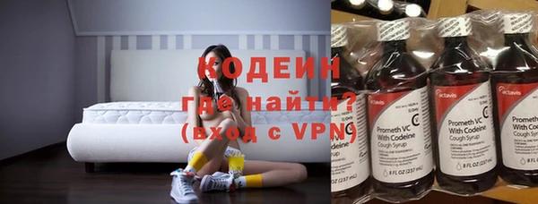 2c-b Ельня