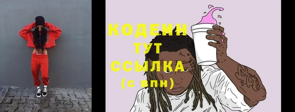 МДПВ Елизово