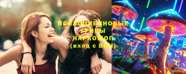 2c-b Ельня