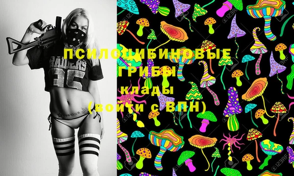 2c-b Ельня