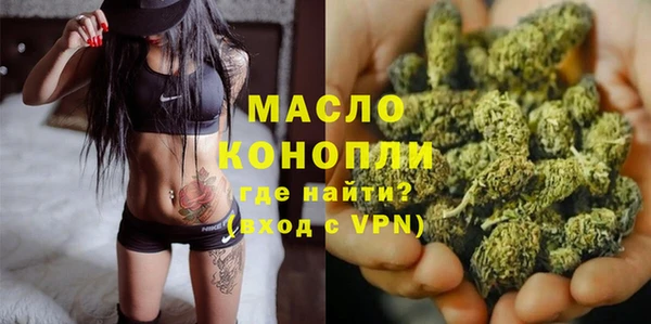 2c-b Ельня