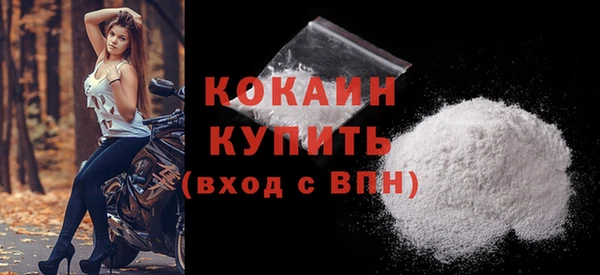 2c-b Ельня