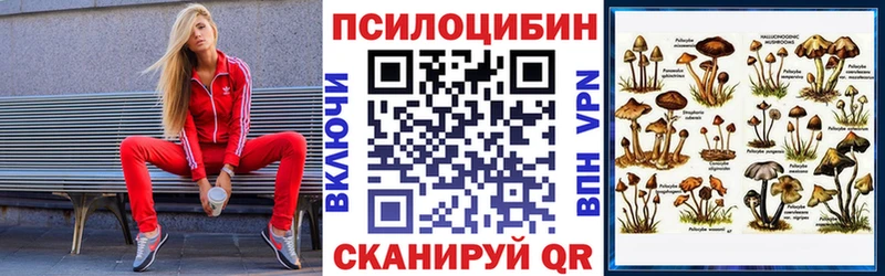 дарнет шоп  Кизляр  Галлюциногенные грибы мухоморы 